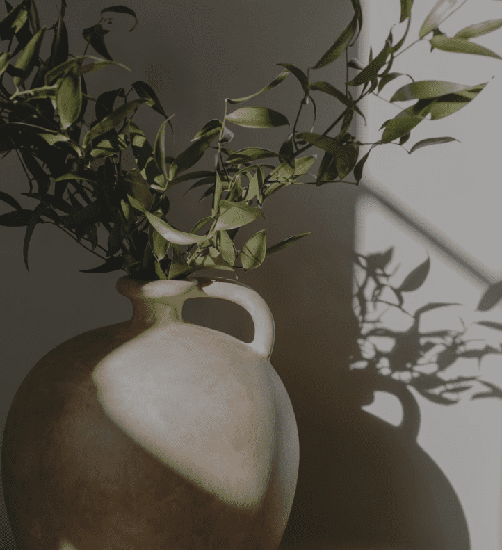 Sunlit ceramic vase with leafy branches